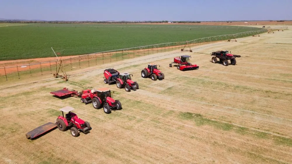Websérie produzida pela Massey Ferguson reúne informações sobre técnicas e benefícios da fenação
