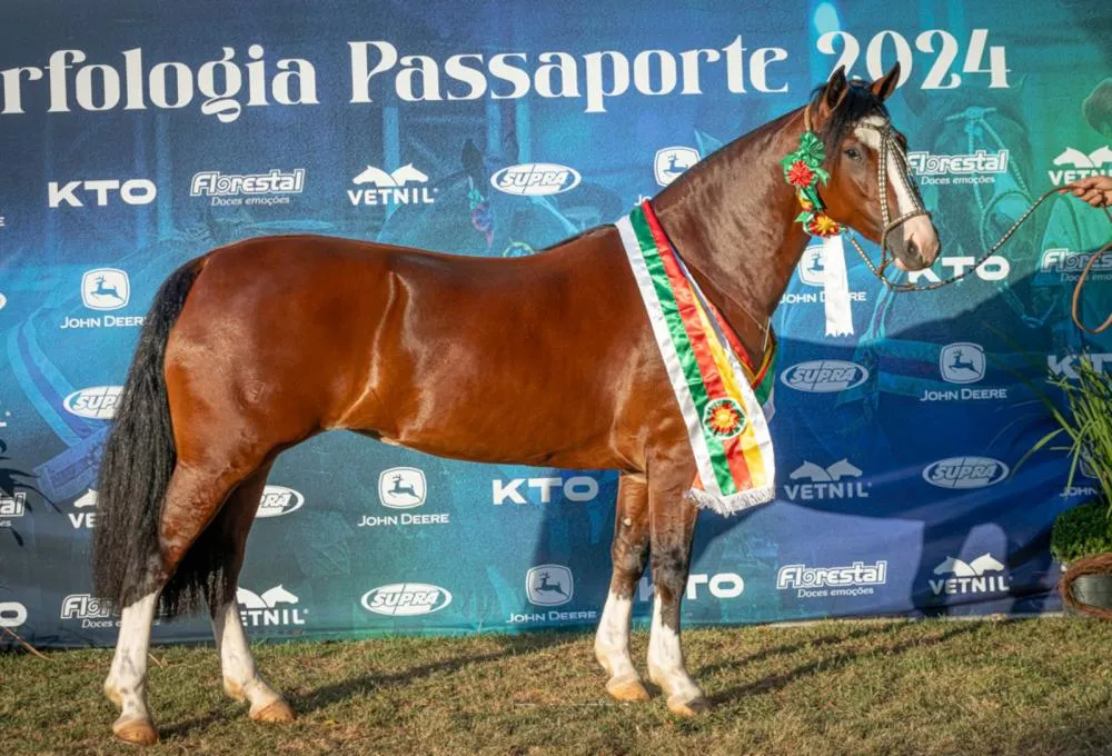 Foto: Fagner Almeida/Divulgação (RE Tinajera-TE)
