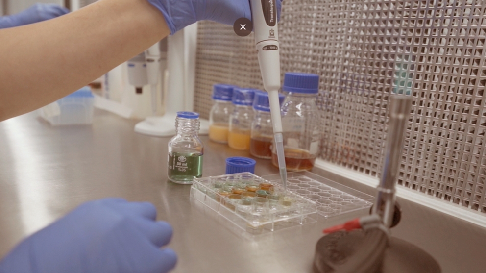 Todas as etapas de fabricação são controladas, rastreadas, passam por esterilização e são analisadas, para evitar e identificar qualquer tipo de contaminação.