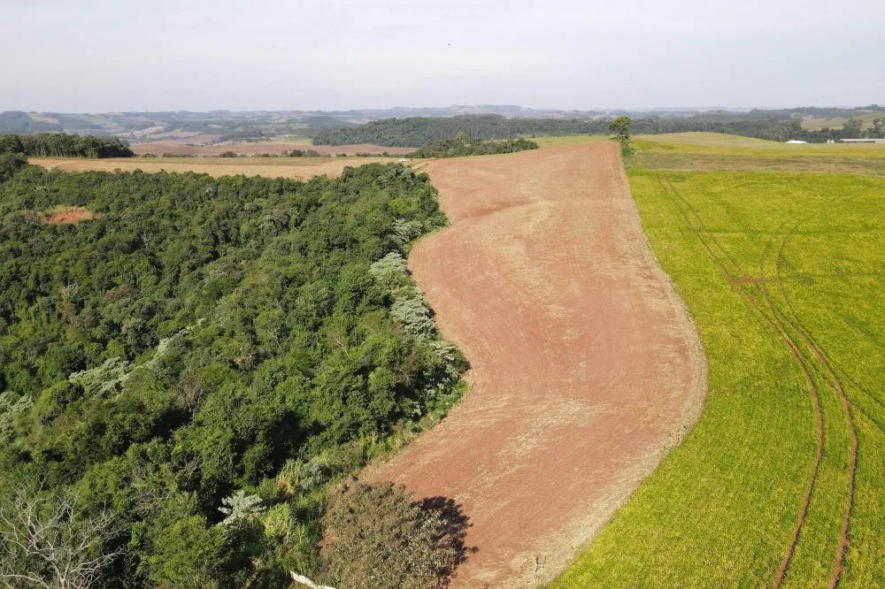 Operação contra o desmatamento ilegal no Sudoeste do Paraná terminou com quase R$ 3 milhões em multas ambientais Foto: IAT