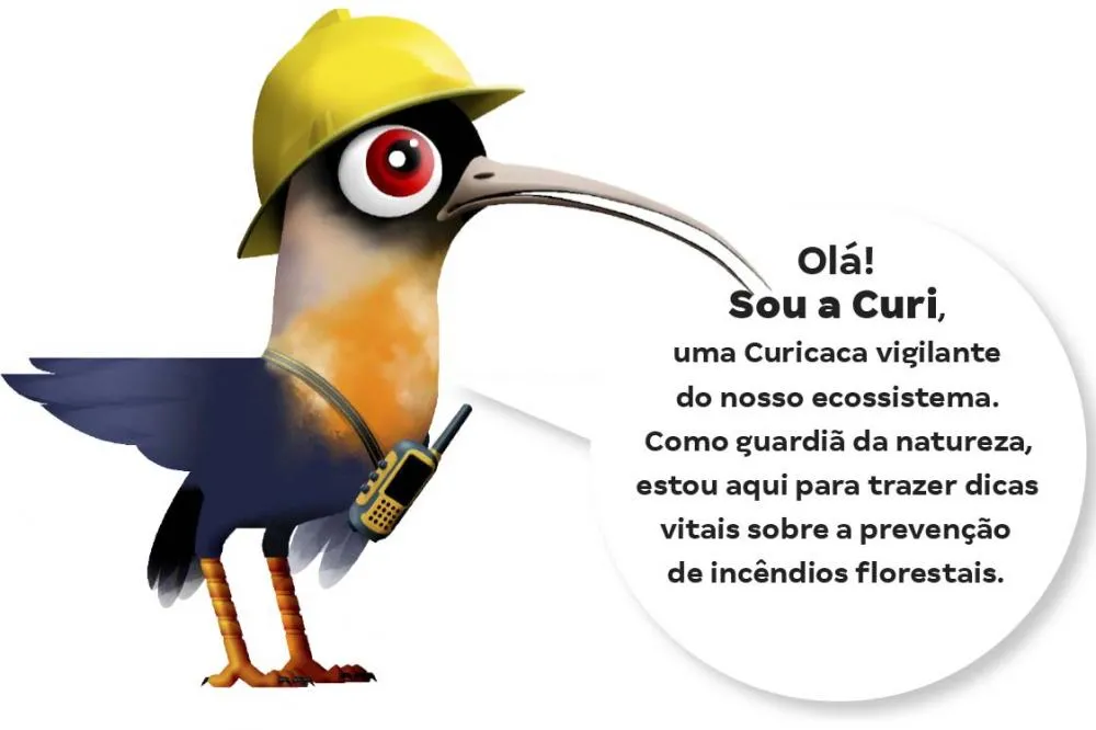 O slogan “Unidos na prevenção aos incêndios florestais-Somos guardiões da floresta” reforça a mensagem que esse assunto é um problema de todos. Neste ano a campanha tem uma nova mascote, a Curi, uma curicaca vigilante do ecossistema que, como guardiã na n
