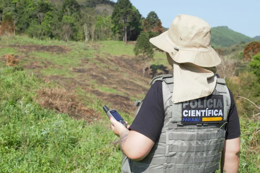 Polícia Científica já emitiu mais de mil requisições de perícia para crimes ambientais Foto: Polícia Científica do Paraná