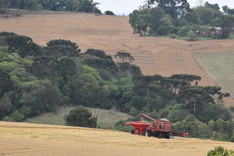 O problema é estabelecer as regras do jogo e não cumpri-las. Isso traz enorme insegurança jurídica para o meio rural, o setor que tem segurado a economia do país. Foto Toninho Anhaia