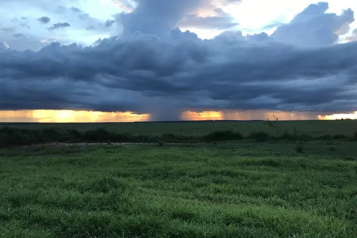 Boletim Agrometeorológico de maio indica excesso de chuvas no Sul e escassez no Norte Foto: IDR-PR