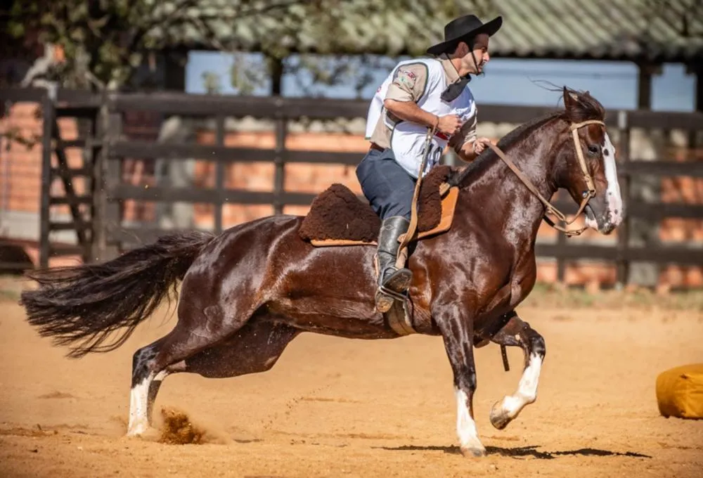 Foto: João Morais/Divulgação (Alamaula Chimarrão)