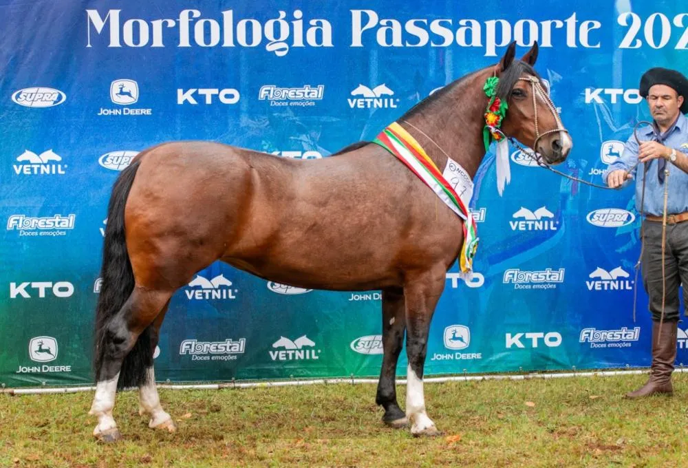 Foto: Felipe Ulbrich/Divulgação (Drica de Quaraci)