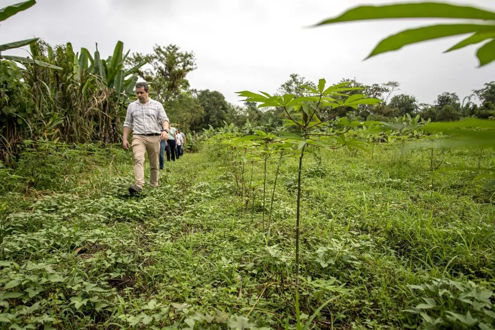 Portos do Paraná recupera área florestal equivalente a 40 campos de futebol em Antonina. Na foto, Diretor de Meio Ambiente da Portos do Paraná, João Paulo Santana, visitando uma área de recuperação florestal em Antonina, no litoral do Paraná Foto: Claudio