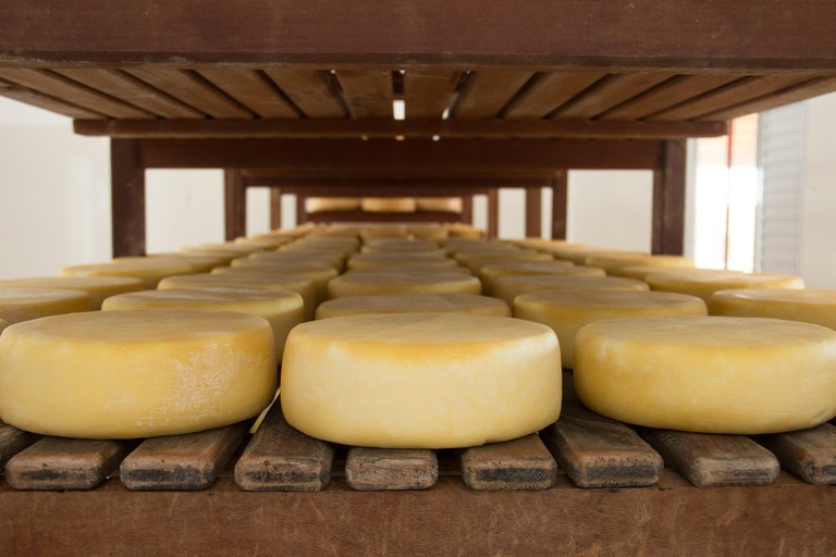 Queijo Canastras