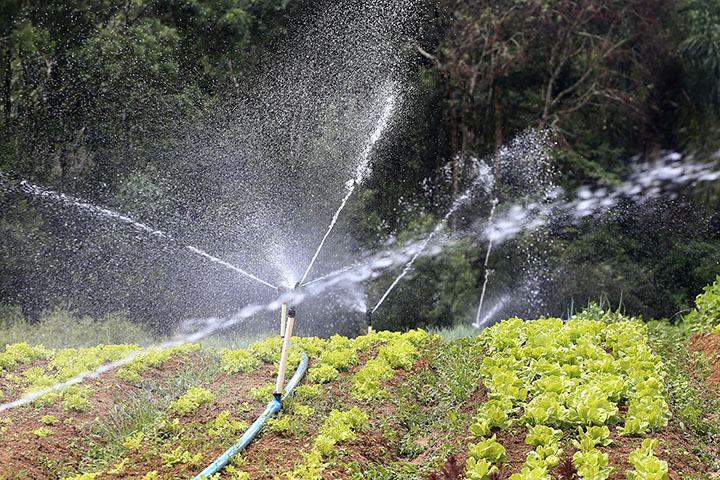 Água é fundamental para a produção de alimento. E é sempre uma preocupação do agricultor quando e quanto vai chover para fazer o plantio e a colheita, e ter um produto com boas condições de consumo e nutricionais
