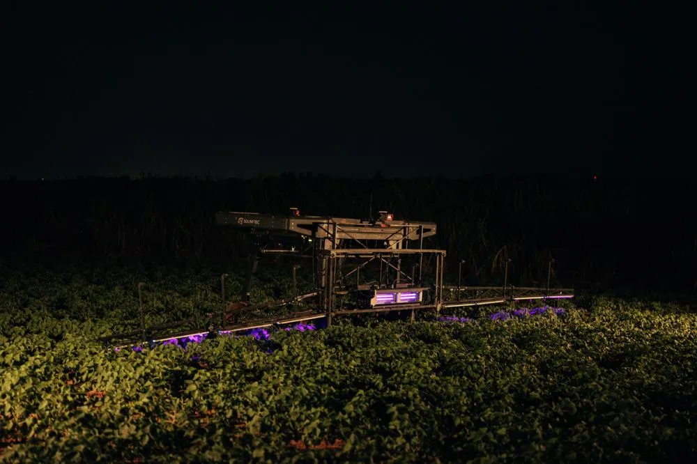 Com avanço da ferramenta “sensação do momento”, agricultura digital caminha para promover uma nova revolução na produção agropecuária