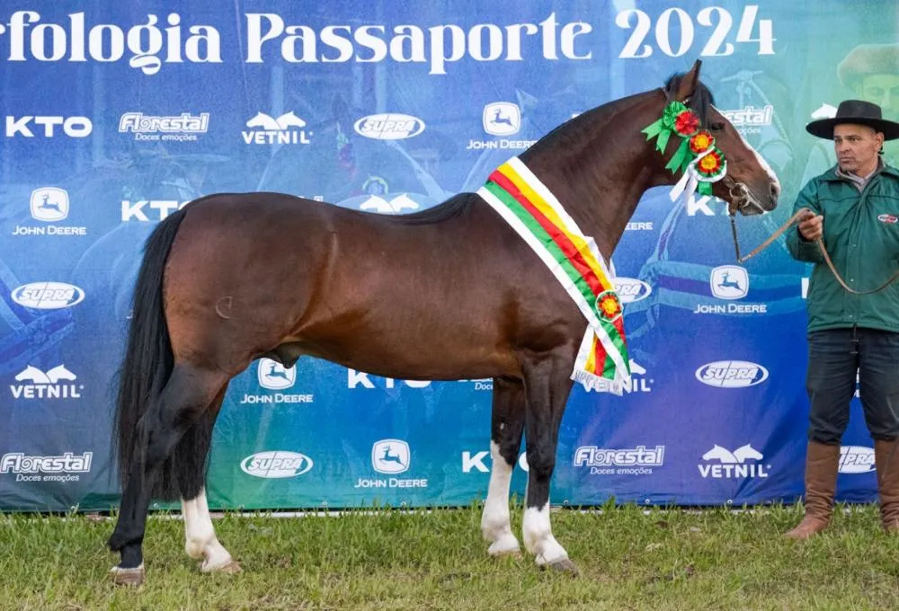 Foto: Kaue Cariolato/Divulgação (Basco Ipiranga-TE)