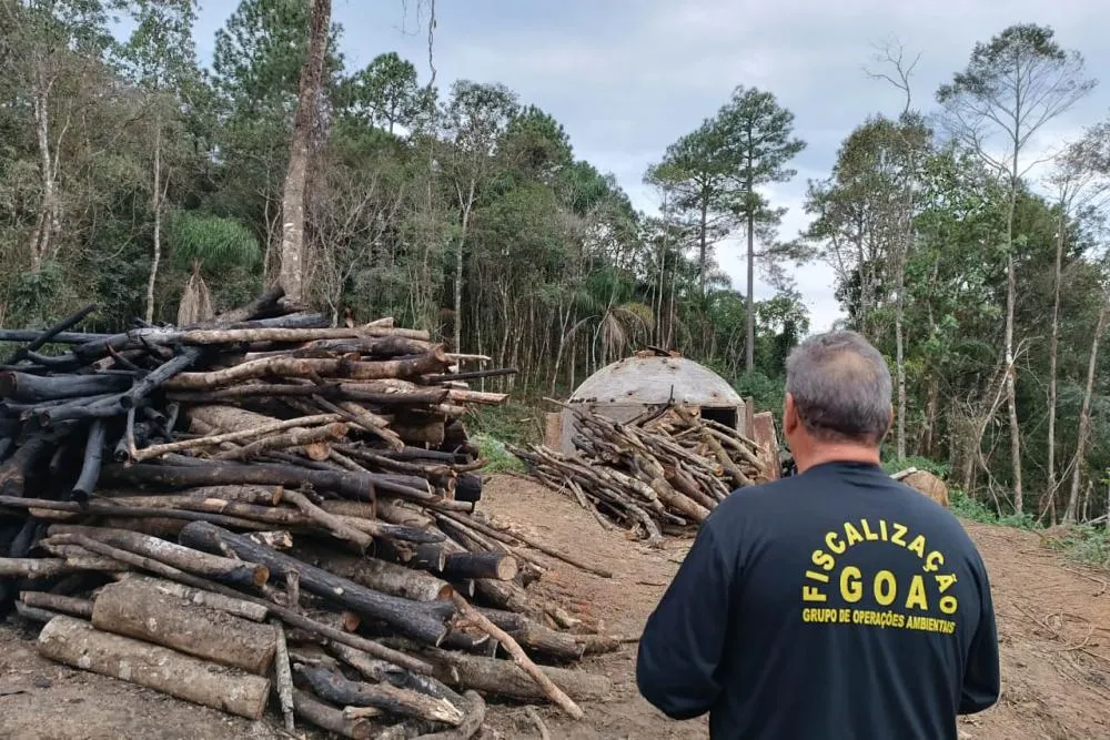 Técnicos do IAT aplicaram quase R$ 7 milhões em multa por desmatamento ilegal na região de Guarapuava. Foto: IAT-PR