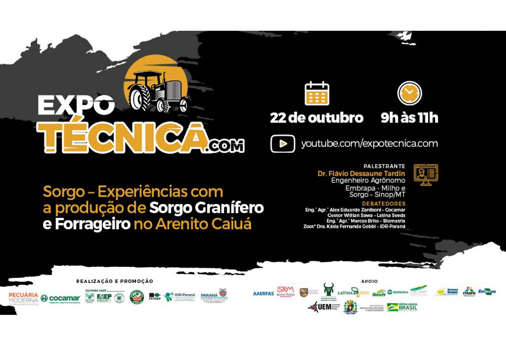 Do ponto de vista de mercado, o cereal, em sucessão a culturas de verão, contribui para a oferta sustentável de alimentos de qualidade para animais, com baixo custo para pecuaristas e agroindústria de rações. O sorgo pode substituir parcialmente o milho n