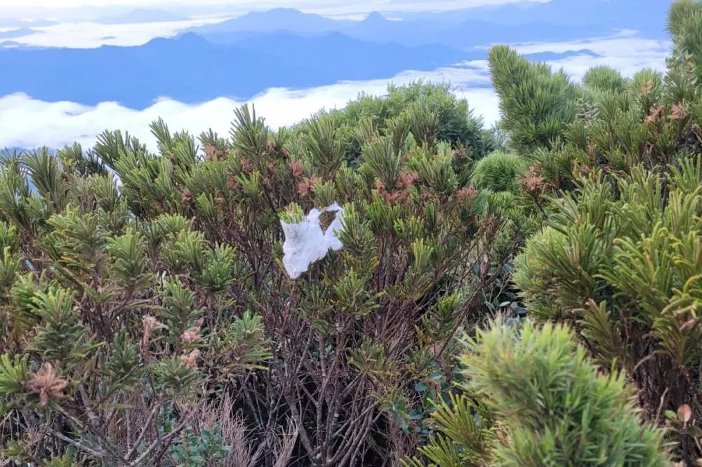 Sujeira deixada por visitantes impacta diretamente na qualidade da água de fontes do Parque Estadual Pico Paraná Foto: IAT