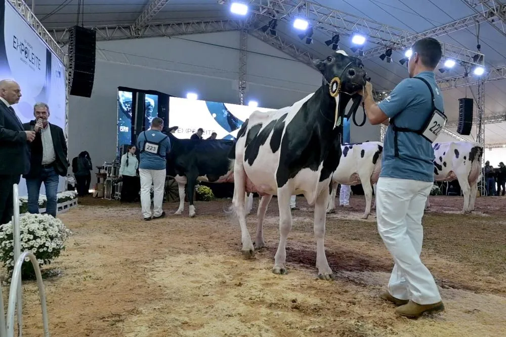 A feira foi um momento único para que os produtores compartilhem suas experiências e aprendam uns com os outros, fortalecendo a comunidade agropecuária. Foto Toninho Anhaia.