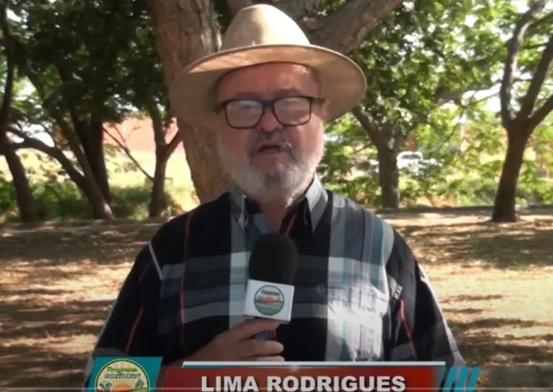 Lima Rodrigues