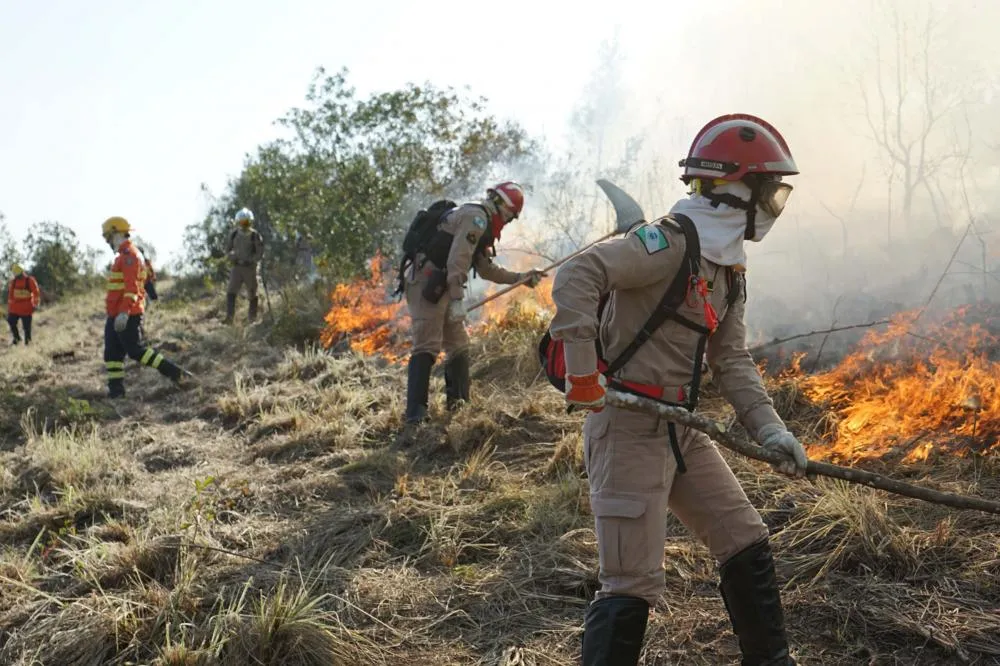 Bombeiros prestaram mais de 63 mil atendimentos no 1º semestre; incêndios cresceram Foto: CBMPR