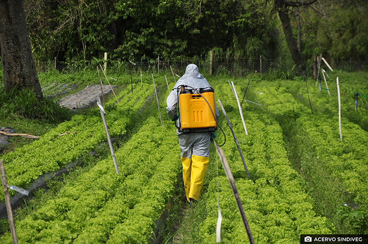 Com o objetivo de abordar a segurança no trabalho com agroquímicos e a correta seleção e utilização dos equipamentos de proteção individual (EPIs), o manual apresenta todas as etapas do ciclo de uso desses produtos agrícolas – desde a compra até o descart
