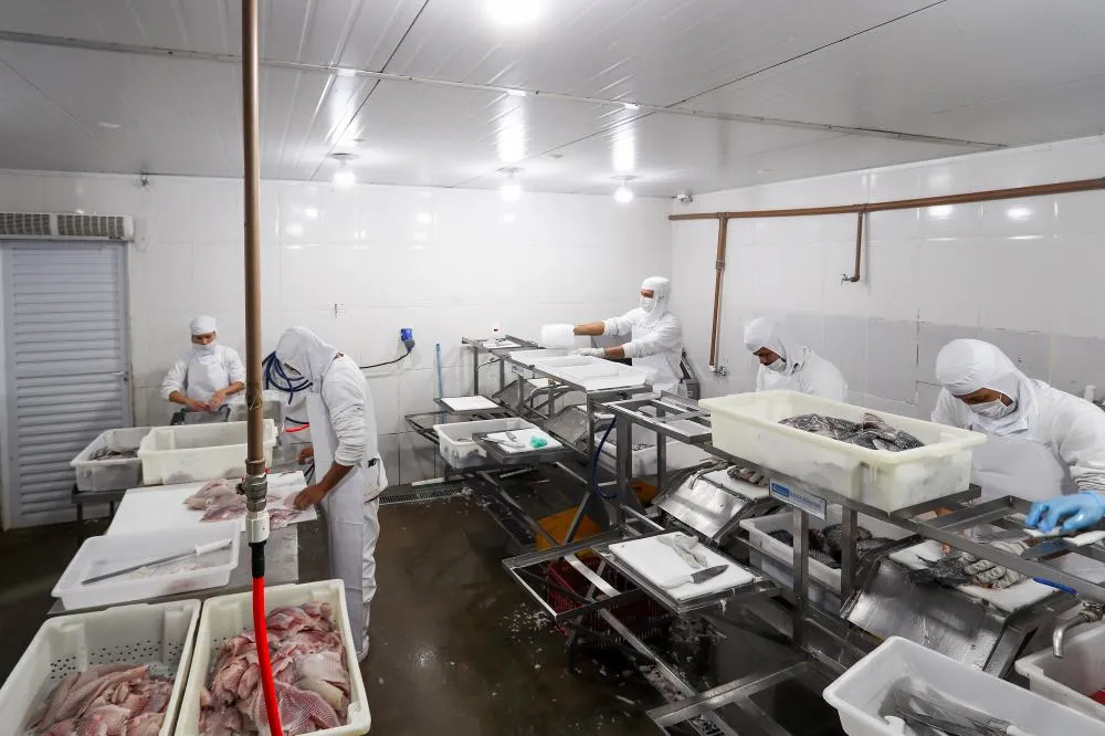 O governador em exercício Darci Piana recebeu o ministro da Pesca e Aquicultura, André de Paula, em uma visita a produtores de tilápia em Alvorada do Sul e Bela Vista do Paraíso, na região Norte do Paraná, nesta segunda-feira (15). Foto: Igor Jacinto/Vice