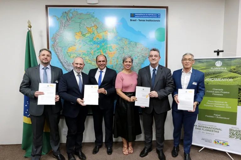 Projetos voltados à recuperação de áreas degradadas e reflorestamento e o desenvolvimento da cadeia produtiva florestal, causando impacto positivo para os produtores. Foto Mapa