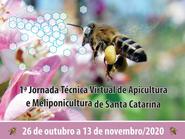 Serão mais de 30 palestras e oficinas, com aulas teóricas e demonstrativas, abordando temas importantes e atuais da apicultura e da meliponicultura. 