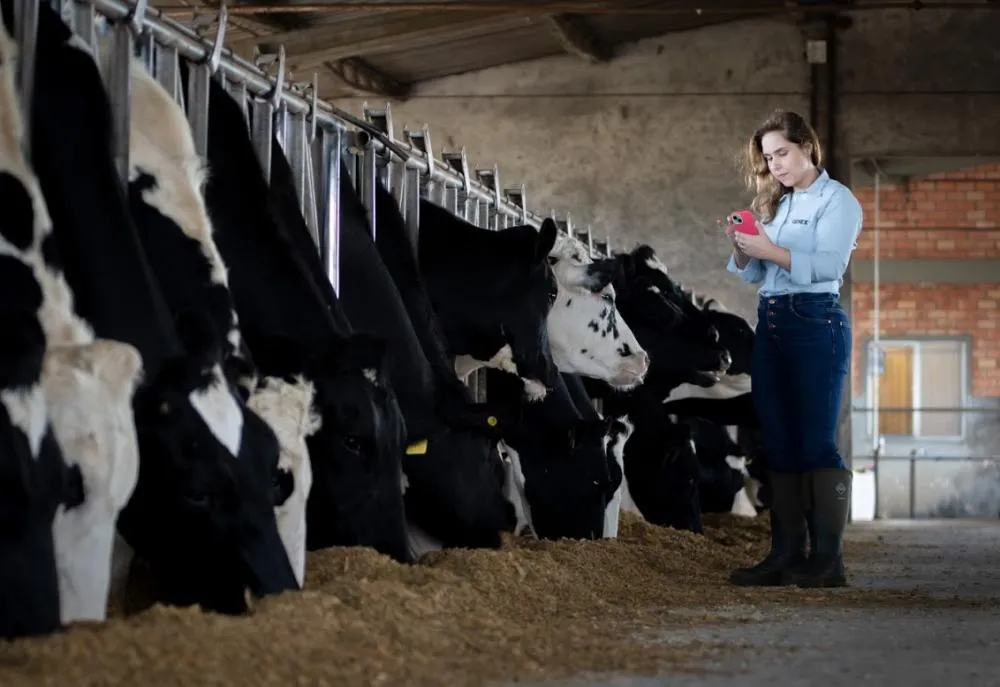 SMART DAIRY propõe maior controle da seleção genética por meio de diferentes soluções em genômica e predição por Inteligência Artificial em um único aplicativo
