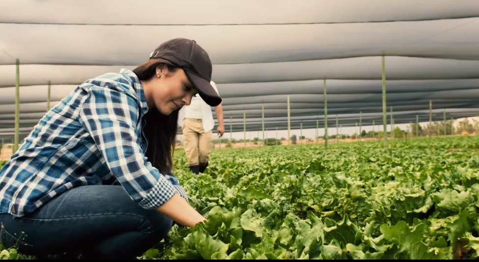 O papel da mulher agricultora é cada vez mais relevante. Elas estão envolvidas em todas as etapas da cadeia produtiva, da lavoura à comercialização, e também na administração de muitas fazendas.