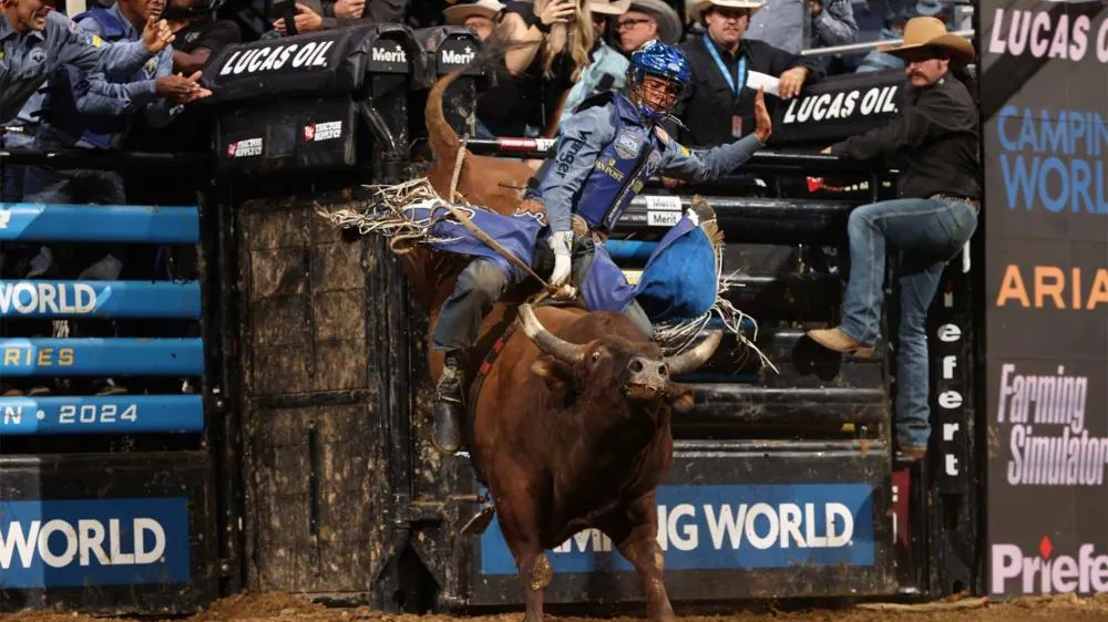 Photo courtesy of Andy Watson/Bull Stock Media