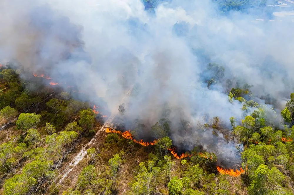 Mais de 9,3 mil ocorrências já foram registradas até 22 de agosto, colocando em risco a agropecuária estadual.