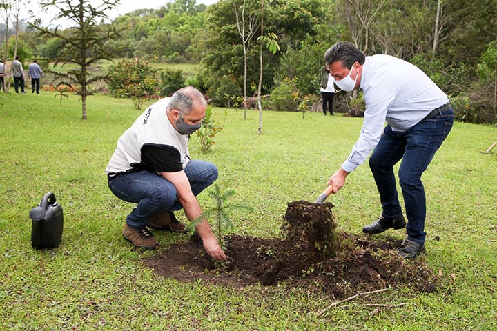 A ação faz parte do programa Paraná Mais Verde, desenvolvido pela Secretaria do Desenvolvimento Sustentável e Turismo. A meta do programa é plantar cerca de 3 milhões de mudas nativas de todas as espécies até o final deste ano e 10 milhões de mudas ao lon