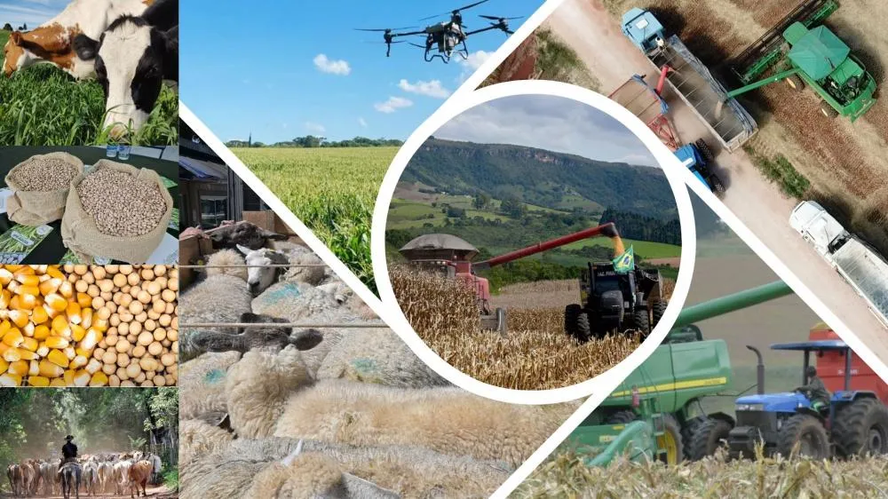  O levantamento do VBP paranaense é um dos mais completos do País, com cerca de 350 culturas, entre elas produtos da agricultura, pecuária, piscicultura, silvicultura, extrativismo vegetal, olericultura, fruticultura, plantas aromáticas e ornamentais. Fot