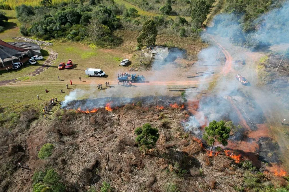 Para prevenir incêndios, Paraná suspende por 90 dias queima controlada no campo Foto: IAT-PR