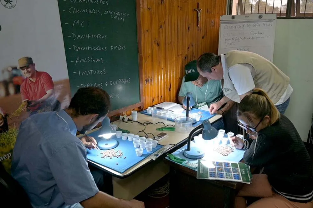 Produtores rurais participam do curso de classificação de feijão em Piraí do Sul, promovido pelo Sindicato Rural e o Sistema Faep/Senar para aprender a identificar e melhorar a qualidade do grão antes da comercialização. Foto Toninho Anhaia