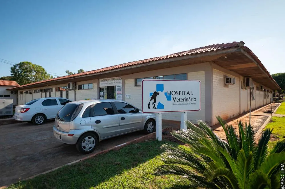 Localizado em Umuarama, HVU projeta expansão na infraestrutura e no atendimento a animais de pequeno e grande porte Foto: UEM
