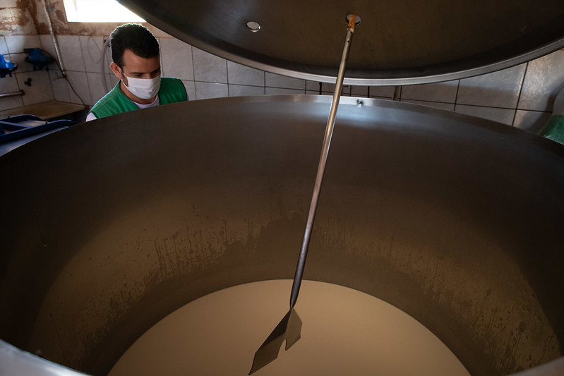 De acordo com pesquisas do Cepea, as negociações de derivados com os canais de distribuição foram mais truncadas e houve maior pressão para a redução dos preços em outubro. Fotos Sistema CNA/Wenderson Araujo.