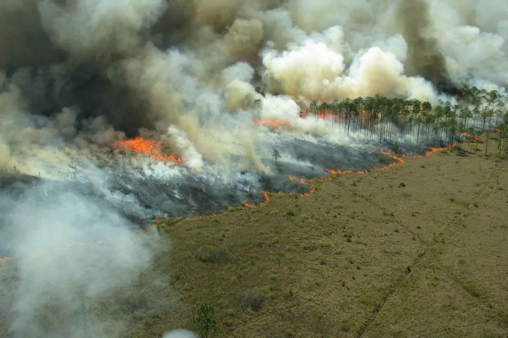 Incêndios geram impactos dentro e fora do agro. Foto divulgaçao