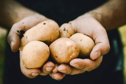 Segundo dados da Organização das Nações Unidas para a Alimentação e Agricultura (FAO), a produtividade brasileira aumentou 28,1% nos últimos dez anos.