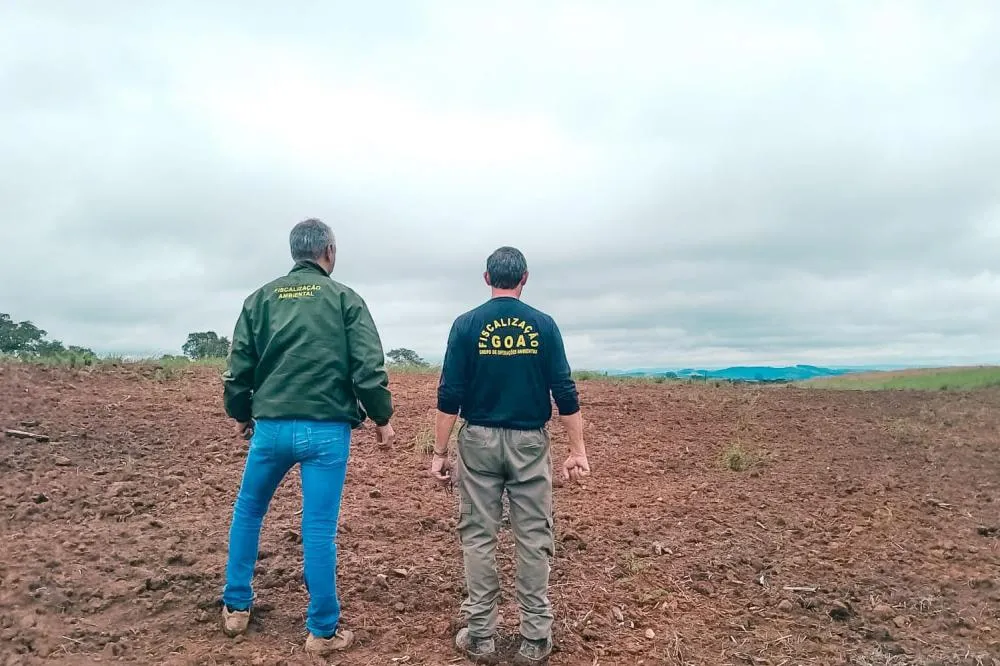 Edição 2024 da Operação Mata Atlântica em Pé identificou 1.433,33 hectares de área ilegalmente desmatada no Paraná Foto: IAT-PR