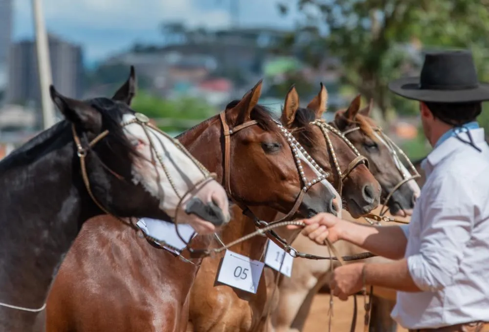 Foto: Felipe Ulbrich/Divulgação