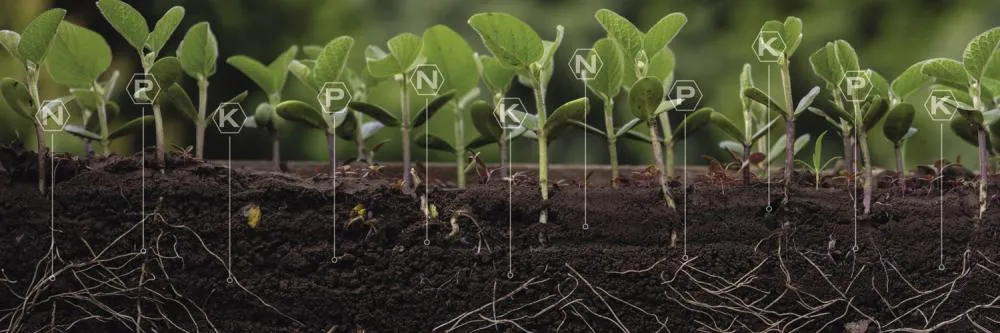 Necessidade dos fertilizantes importados coloca o setor agrícola brasileiro em cheque e acelera processos para aumentar a produção nacional