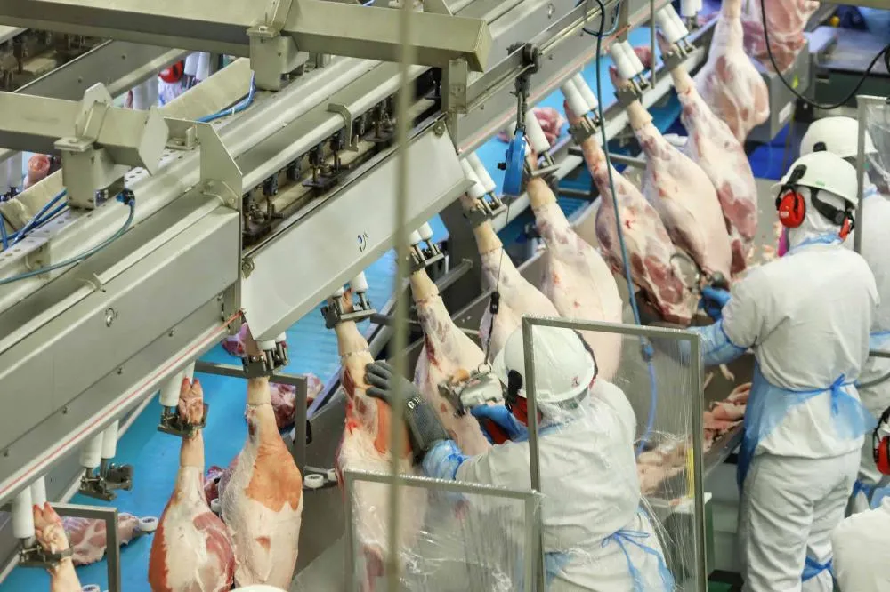 Exportações de carne suína crescem 7,3% e superam 120 mil toneladas em setembro Foto: Gilson Abreu/AEN