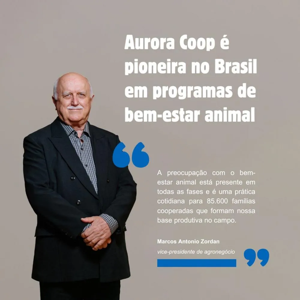 A preocupação com o bem-estar animal está presente em todas as fases e é uma prática cotidiana para 85.600 famílias cooperadas que formam a base produtiva no campo”, enfatiza o vice-presidente de agronegócio Marcos Antonio Zordan.
