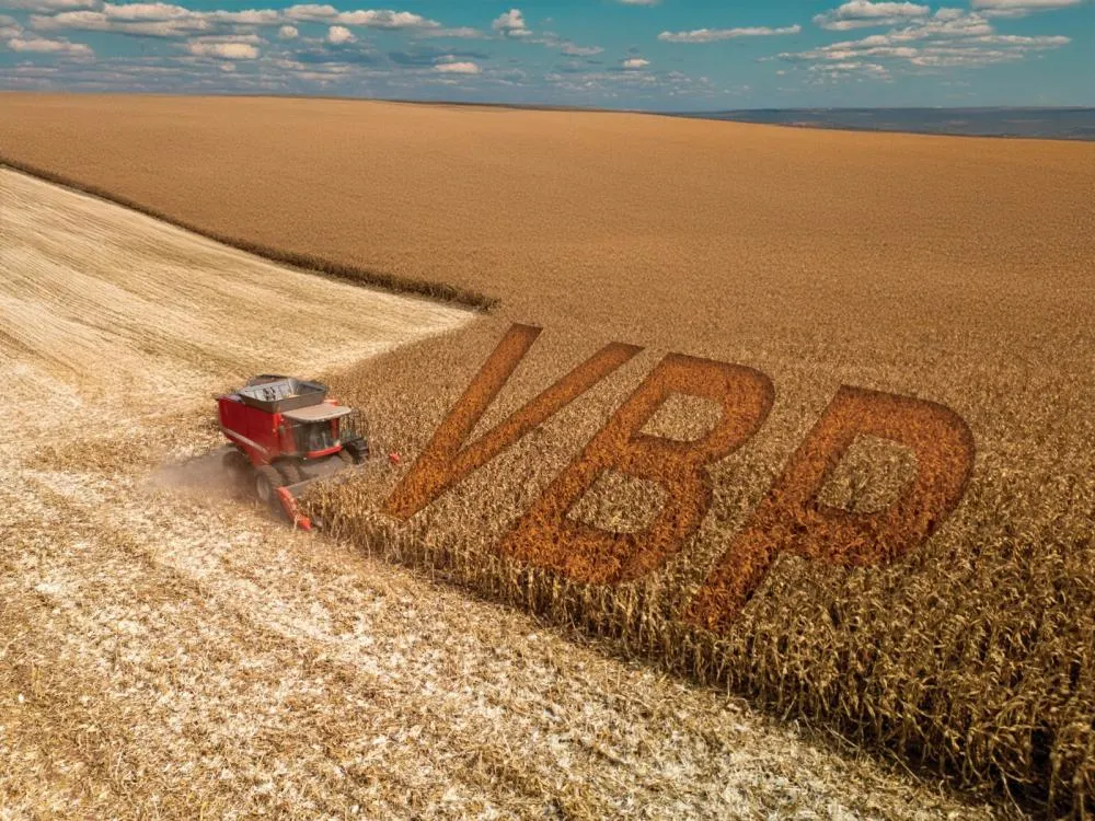 R$ 198,8 bi Este foi o montante do Valor Bruto de Produção Agropecuária do Paraná em 2023