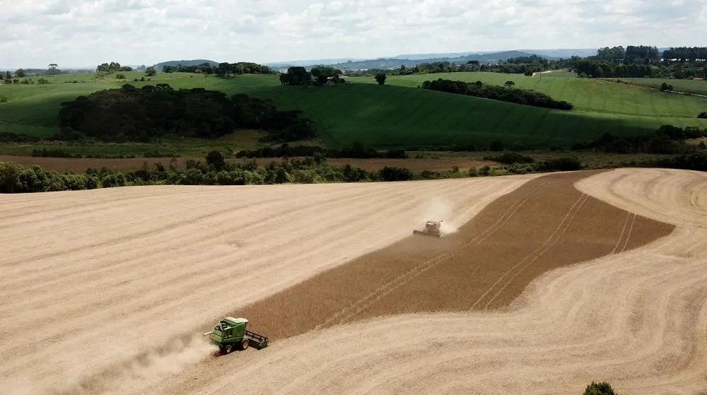 O arroz, o milho e a soja, os três principais produtos, somados, representam 92,1% da estimativa da produção e respondem por 87,2% da área a ser colhida. Foto Toninho Anhaia
