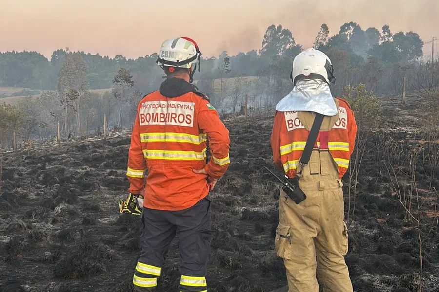 Incêndios florestais no Paraná caem 57% entre a primeira quinzena de setembro e outubro Foto: CBMPR