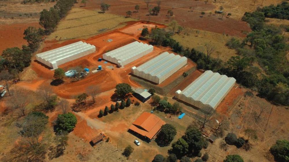 A estimativa é de que o investimento total de uma estufa, somando a parte de irrigação, gire em torno de 250 mil por estufa em media o metro quadrado, dependendo do material e das características utilizadas.