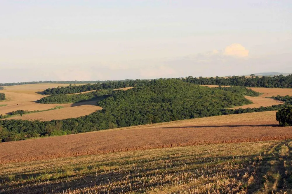 Corte rejeitou, por unanimidade, o critério de “identidade ecológica”, garantindo segurança jurídica aos produtores rurais
