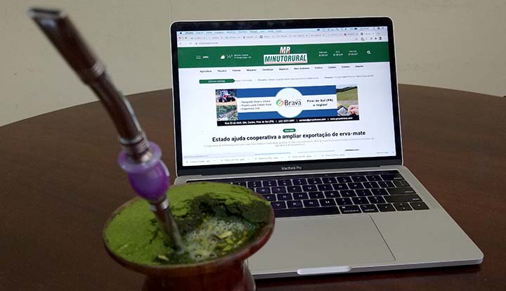 Produtores de erva e indústrias do Paraná apontam um aquecimento do mercado, por conta de as pessoas estarem mais em casa, com mais tempo para preparar a bebida, e também a adaptação para a cuia individual.