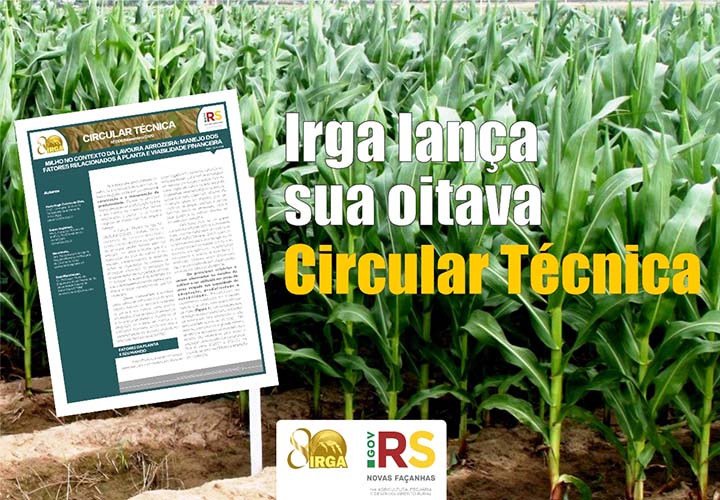 Esse estudo complementa a Circular Técnica nº 006, intitulada “Milho no contexto da lavoura arrozeira: potencialidades, desafios e avanços“, lançada em junho deste ano.