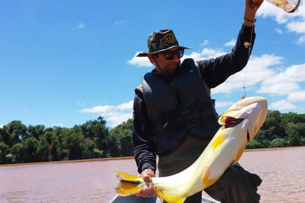 Piracema: proibição de pesca predatória na Bacia do Rio Paraná começa na sexta-feira Foto: IAT